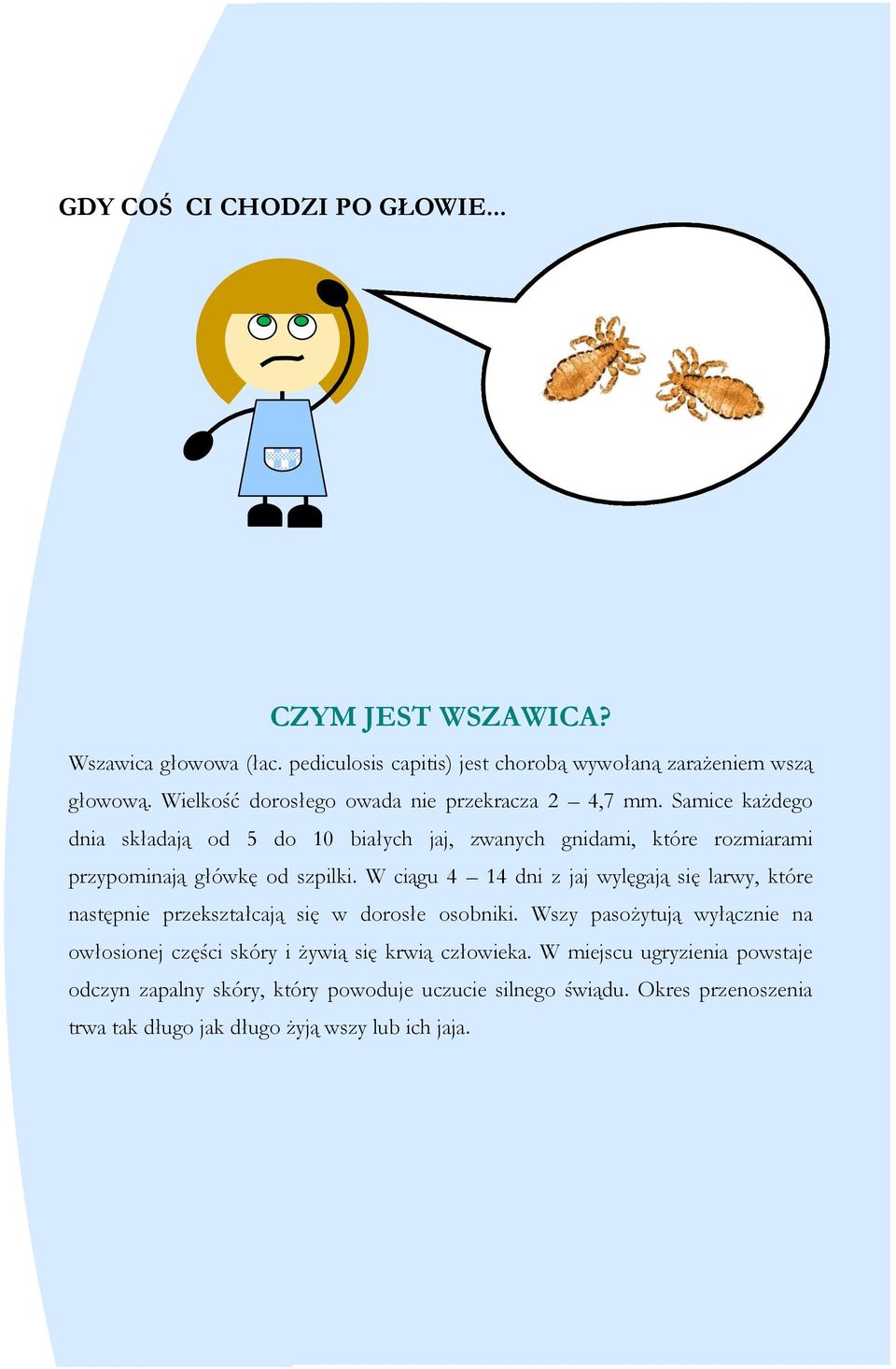 Samice każdego dnia składają od 5 do 10 białych jaj, zwanych gnidami, które rozmiarami przypominają główkę od szpilki.