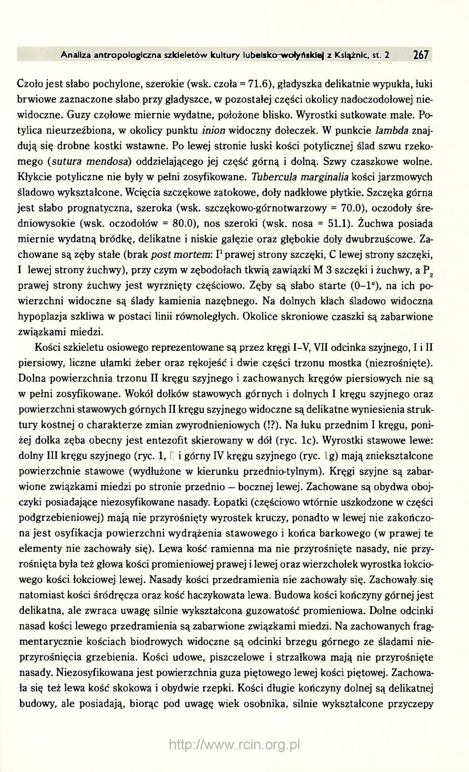 Wyrostki sutkowate małe. Potylica nieurzeźbiona, w okolicy punktu inion widoczny dołeczek. W punkcie lambda znajdują się drobne kostki wstawne.