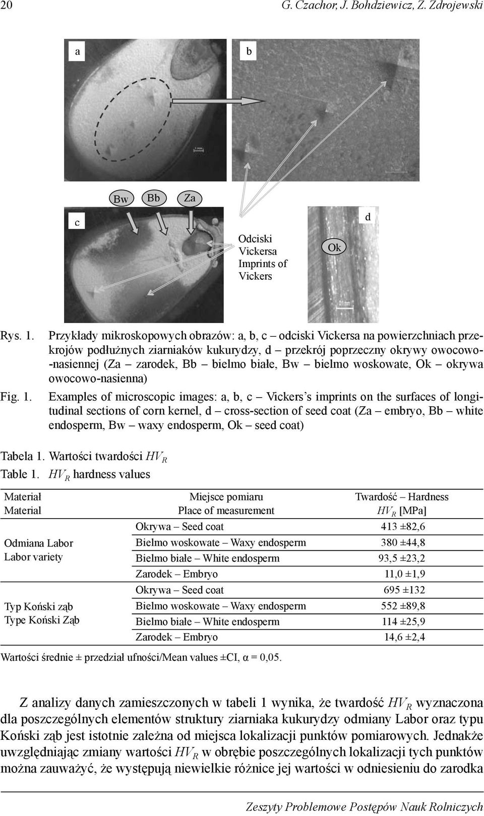 Przykłady mikroskopowych obrazów: a, b, c odciski Vickersa na powierzchniach przekrojów podłużnych ziarniaków kukurydzy, d przekrój poprzeczny okrywy owocowo- -nasiennej (Za zarodek, Bb bielmo białe,