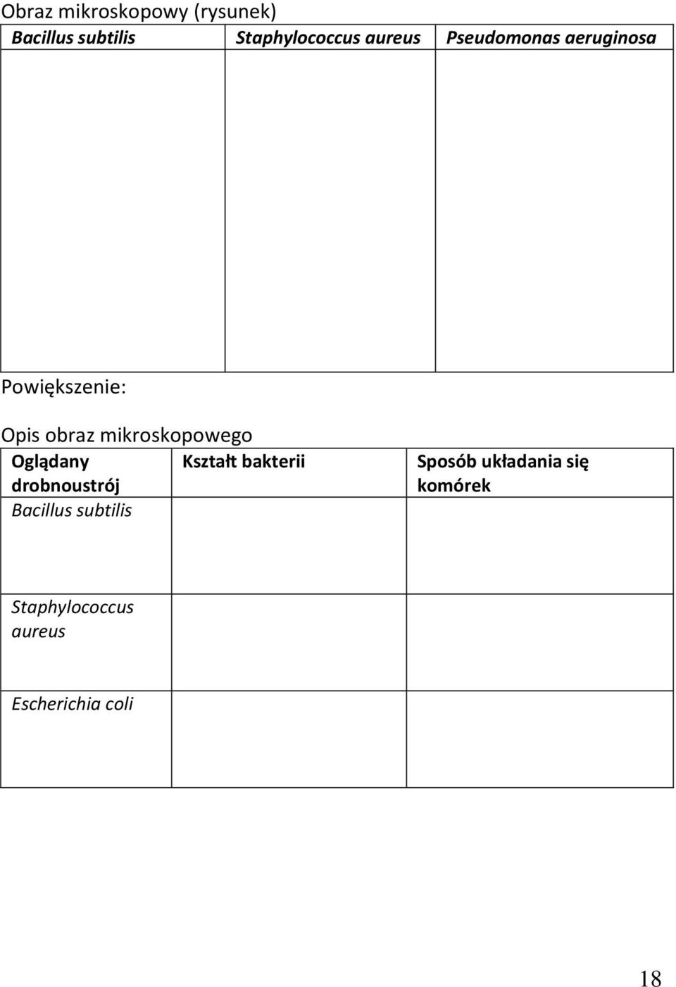 mikroskopowego Oglądany Kształt bakterii drobnoustrój Bacillus