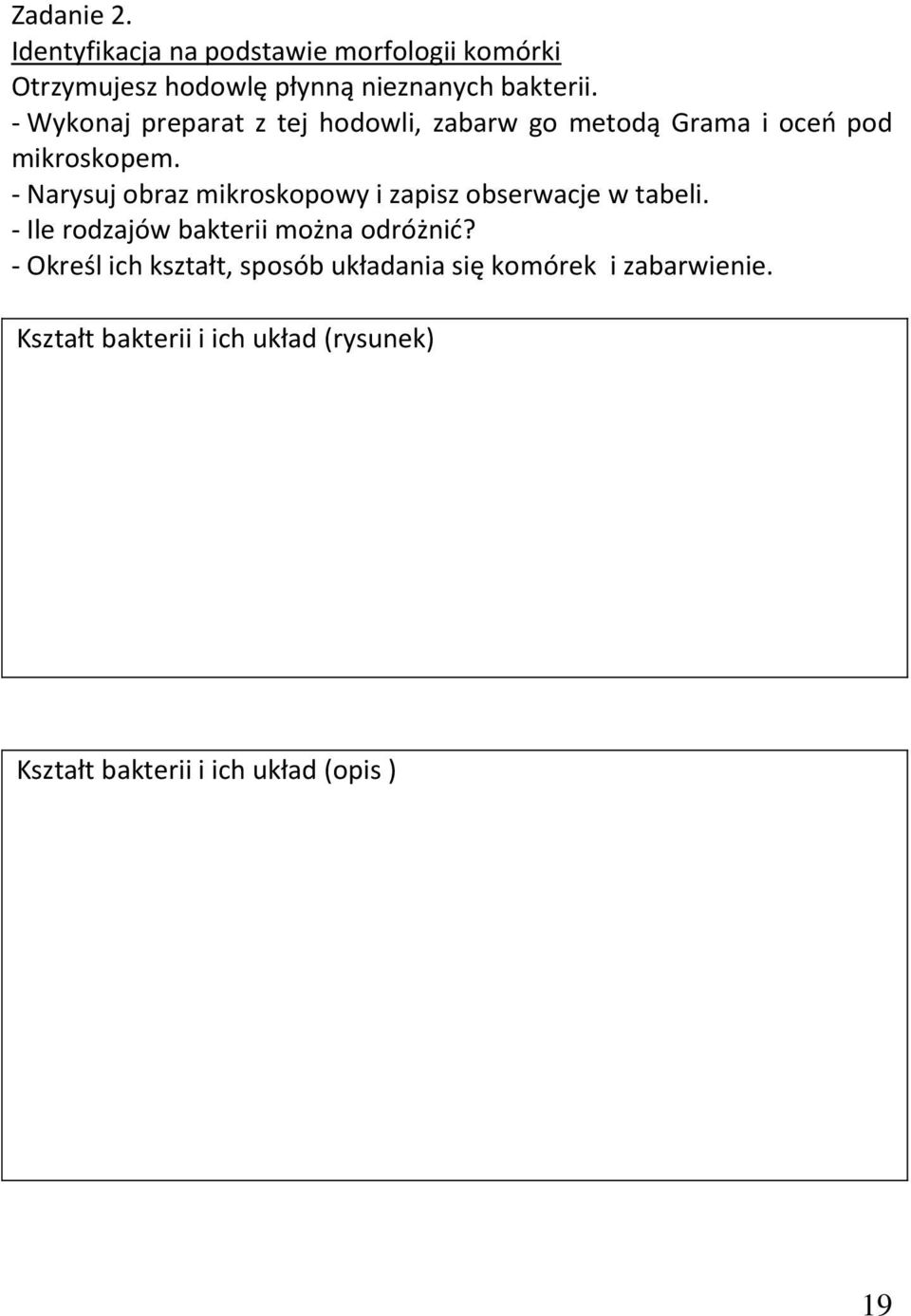 - Narysuj obraz mikroskopowy i zapisz obserwacje w tabeli. - Ile rodzajów bakterii można odróżnić?