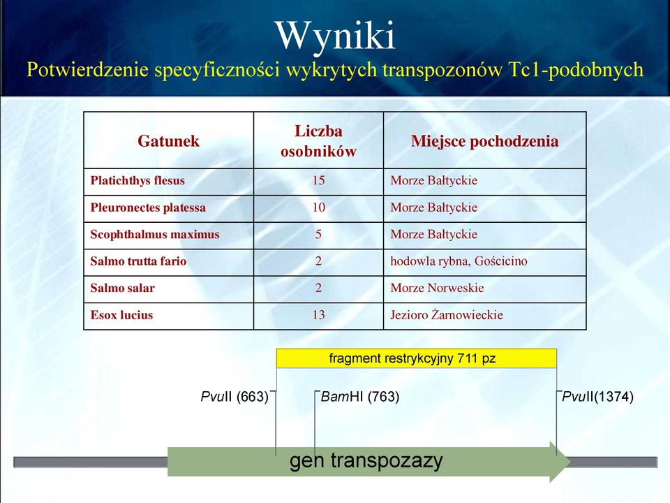 maximus 5 Morze Bałtyckie Salmo trutta fario 2 hodowla rybna, Gościcino Salmo salar 2 Morze Norweskie Esox