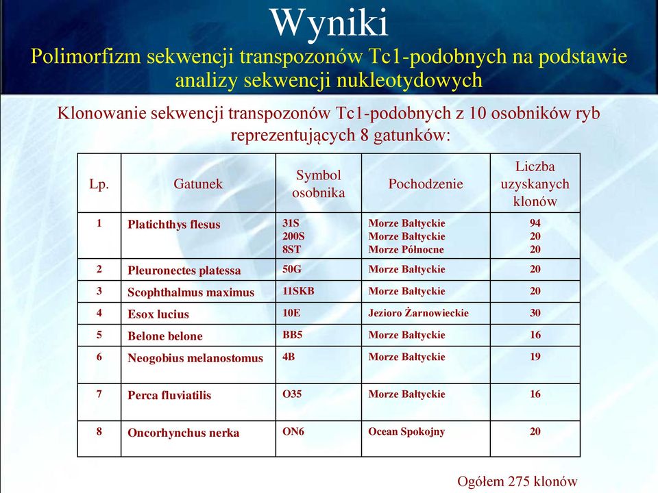 Gatunek 1 Platichthys flesus 31S 200S 8ST Symbol osobnika Pochodzenie Morze Bałtyckie Morze Bałtyckie Morze Północne Liczba uzyskanych klonów 2 Pleuronectes platessa 50G