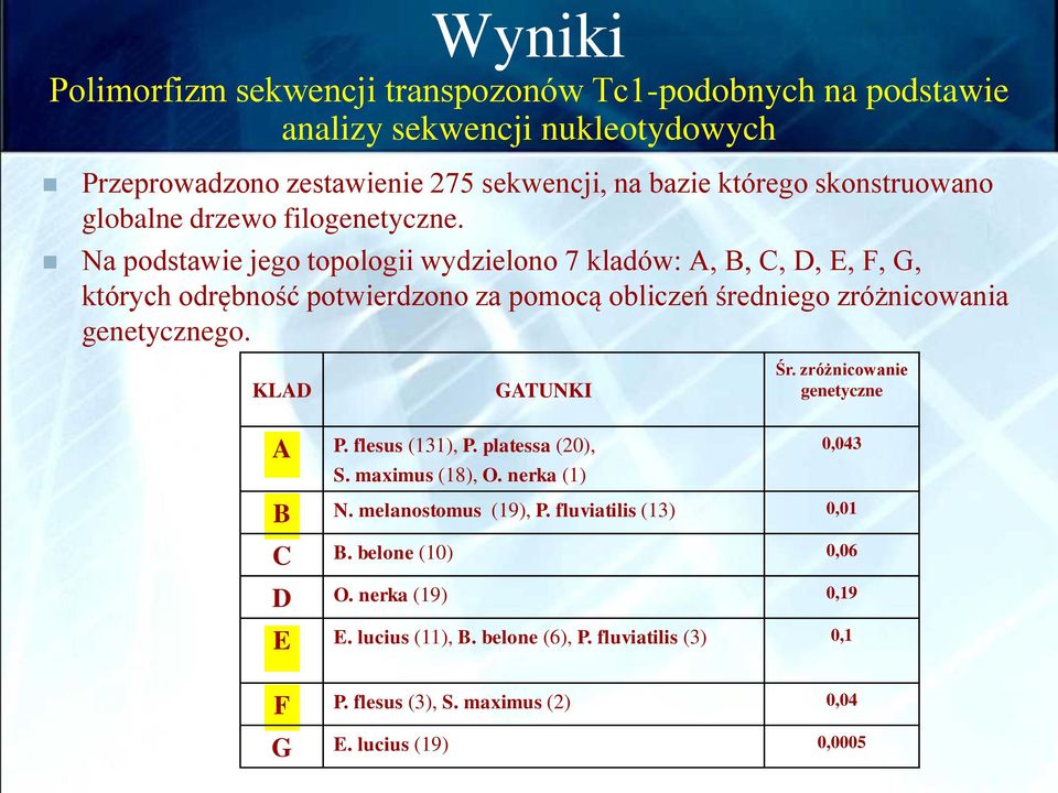 Na podstawie jego topologii wydzielono 7 kladów: A, B, C, D, E, F, G, których odrębność potwierdzono za pomocą obliczeń średniego zróżnicowania genetycznego.