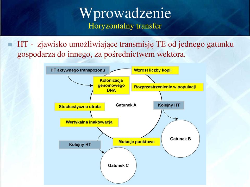 T HT aktywnego transpozonu Kolonizacja genomowego DNA Wzrost liczby kopii