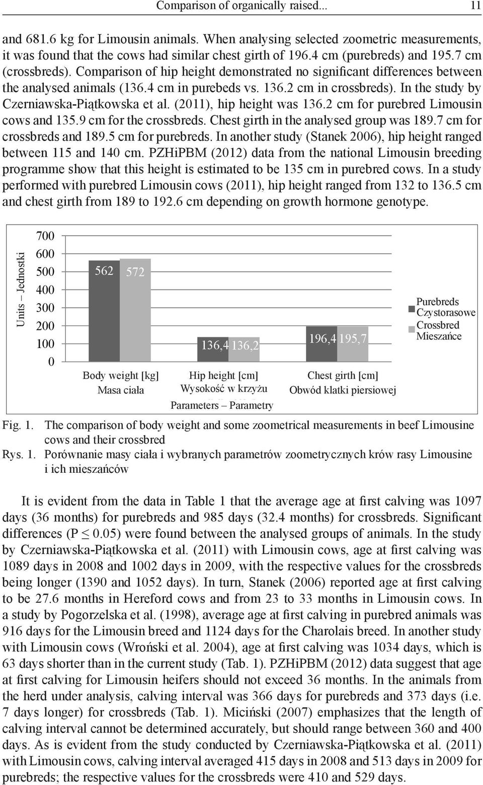 In the study by Czerniawska-Piątkowska et al. (2011), hip height was 136.2 cm for purebred Limousin cows and 135.9 cm for the crossbreds. Chest girth in the analysed group was 189.