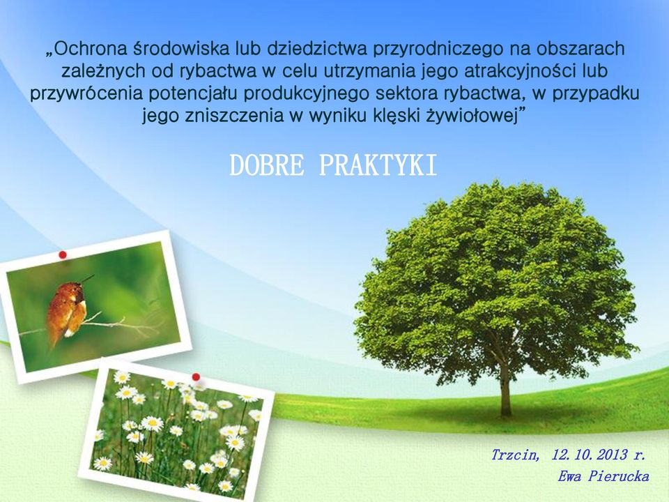 przywrócenia potencjału produkcyjnego sektora rybactwa, w przypadku