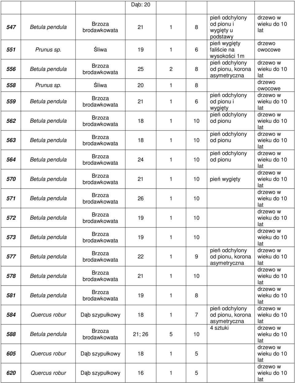 pendula 577 Betula pendula 578 Betula pendula 581 Betula pendula 21 1 6 18 1 10 18 1 10 24 1 10 i wygięty u podstawy pień wygięty faliście na ści 1m, i wygięty