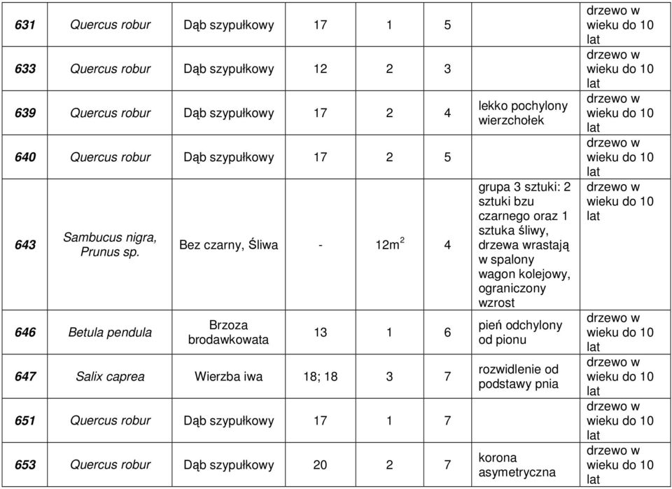 646 Betula pendula Bez czarny, Śliwa - 12m 2 4 13 1 6 647 Salix caprea Wierzba iwa 18; 18 3 7 651 Quercus robur Dąb szypułkowy 17 1 7