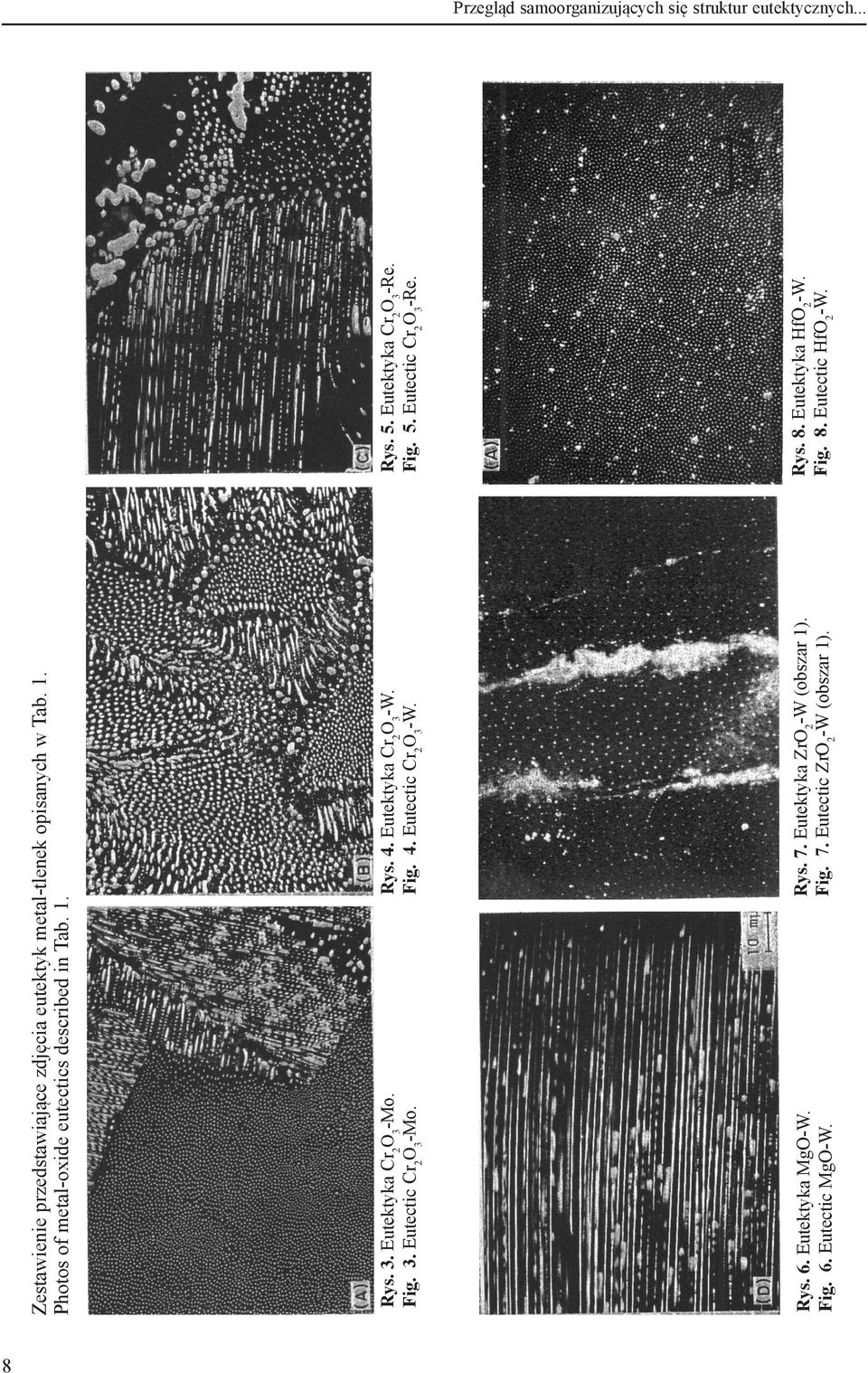 Rys. 6. Eutektyka MgO-W. Fig. 6. Eutectic MgO-W. Zestawienie przedstawiające zdjęcia eutektyk metal-tlenek opisanych w Tab. 1.