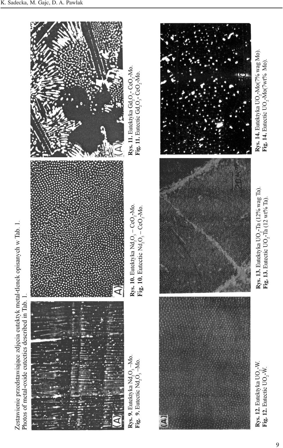 Zestawienie przedstawiające zdjęcia eutektyk metal-tlenek opisanych w Tab. 1. Photos of metal-oxide eutectics described in Tab. 1. Rys.