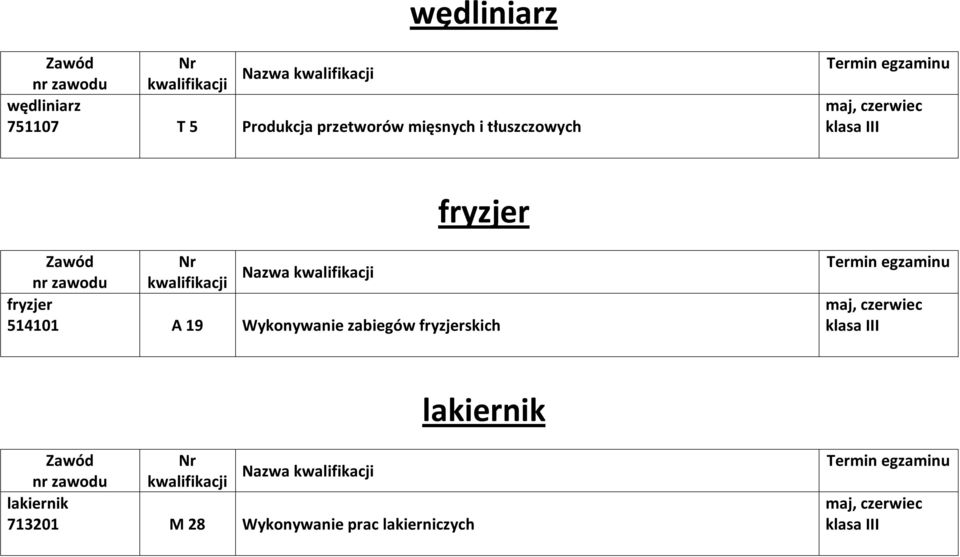 514101 A 19 Wykonywanie zabiegów fryzjerskich