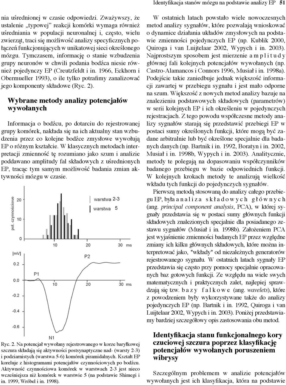 unikatowej sieci określonego mózgu. Tymczasem, informację o stanie wzbudzenia grupy neuronów w chwili podania bodźca niesie również pojedynczy EP (Creutzfeldt i in.