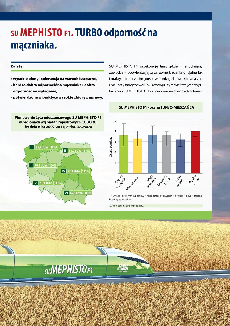 SU MEPHISTO F1 przekonuje tam, gdzie inne odmiany zawodzą potwierdzają to zarówno badania oficjalne jak i praktyka rolnicza.