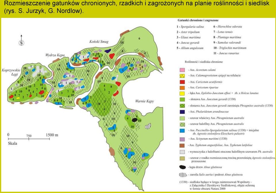 zagrożonych na planie