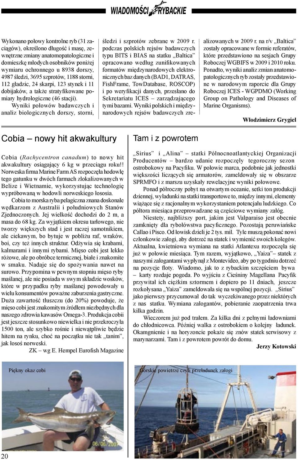 Wyniki połowów badawczych i analiz biologicznych dorszy, storni, śledzi i szprotów zebrane w 2009 r.