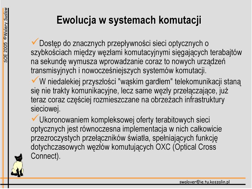 W niedalekiej przyszłości "wąskim gardłem" telekomunikacji staną się nie trakty komunikacyjne, lecz same węzły przełączające, już teraz coraz częściej rozmieszczane na