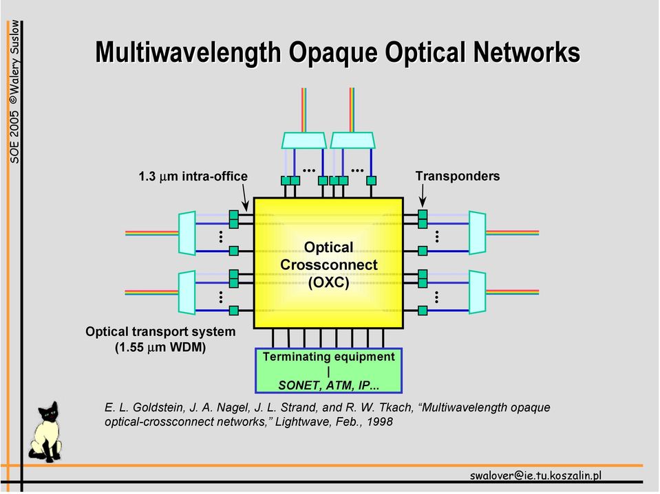 55 µm WDM) Terminating equipment SONET, ATM, IP... E. L. Goldstein, J. A. Nagel, J.