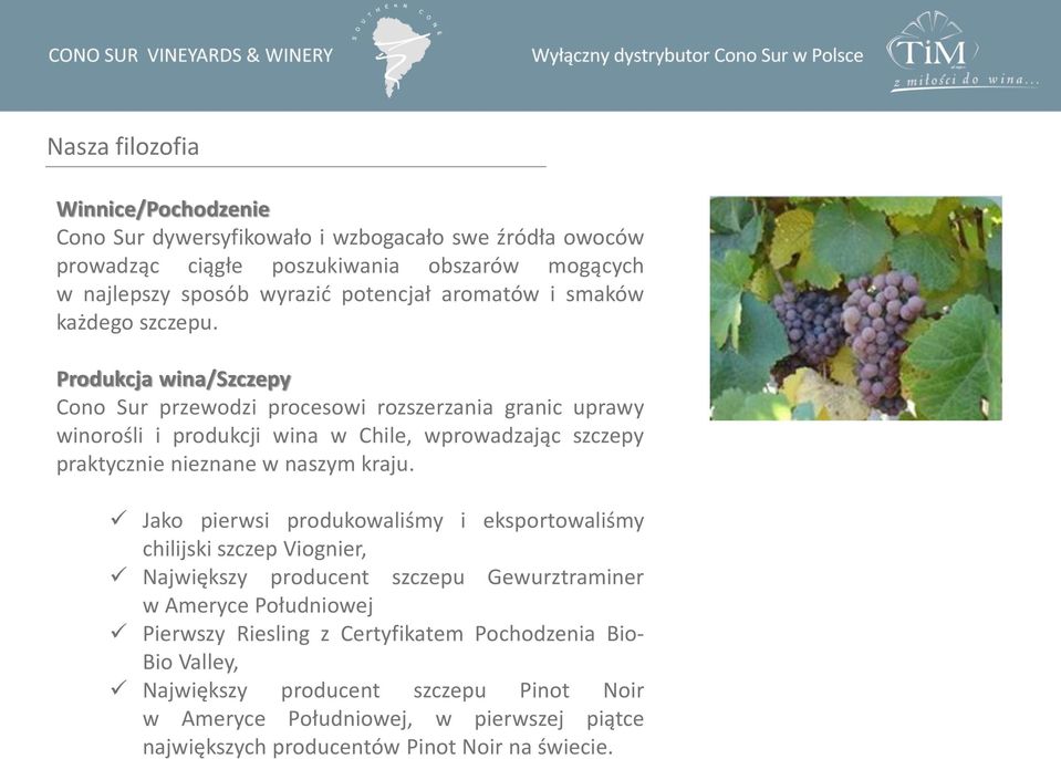 Produkcja wina/szczepy Cono Sur przewodzi procesowi rozszerzania granic uprawy winorośli i produkcji wina w Chile, wprowadzając szczepy praktycznie nieznane w naszym kraju.