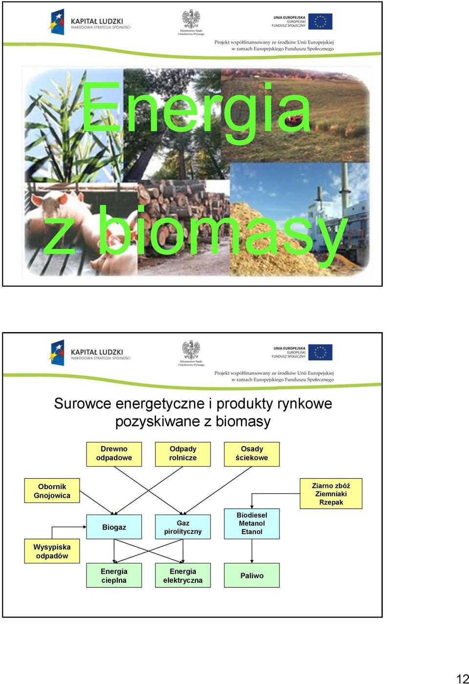 Gnojowica Wysypiska odpadów Biogaz Energia cieplna Gaz pirolityczny