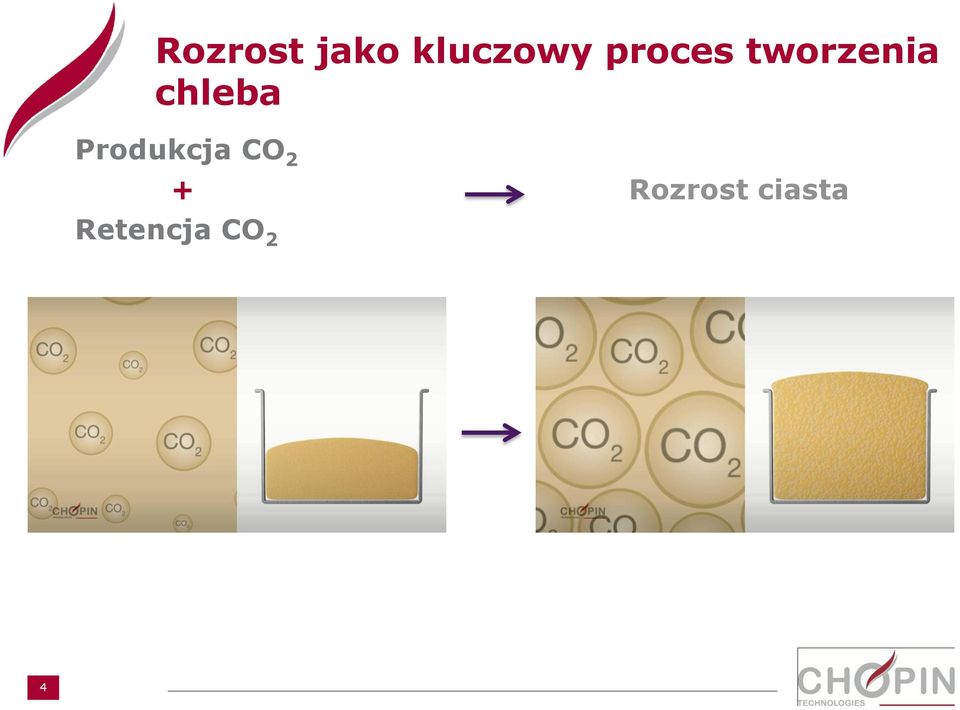 Produkcja CO 2 +