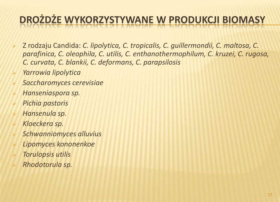 blankii, C. deformans, C. parapsilosis Yarrowia lipolytica Saccharomyces cerevisiae Hanseniaspora sp.