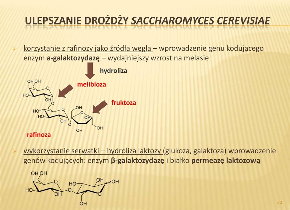 melibioza hydroliza fruktoza rafinoza wykorzystanie serwatki hydroliza laktozy