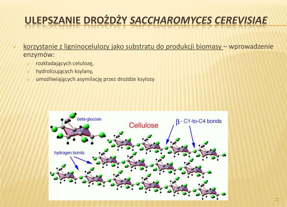 wprowadzenie enzymów: rozkładających celulozę,