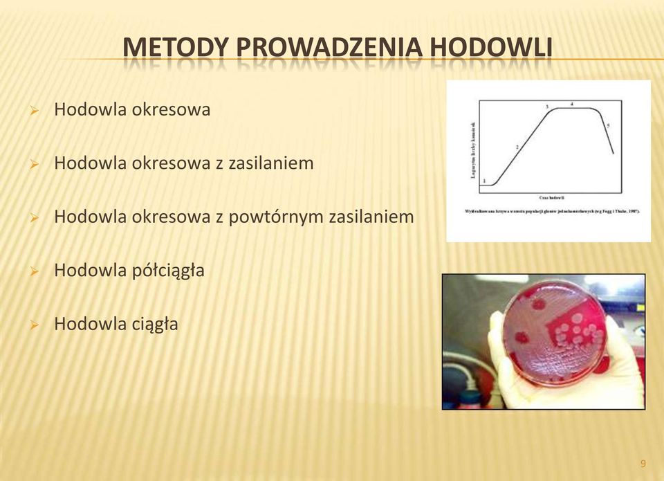 zasilaniem Hodowla okresowa z