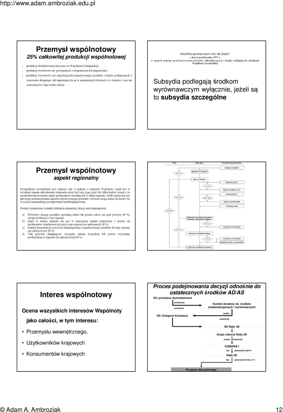 tym interesu: Przemysłu wewnętrznego, Użytkowników krajowych Konsumentów krajowych propozycja rozwiązań KE: Kolegium Komisarzy Komitet doradczy ds.