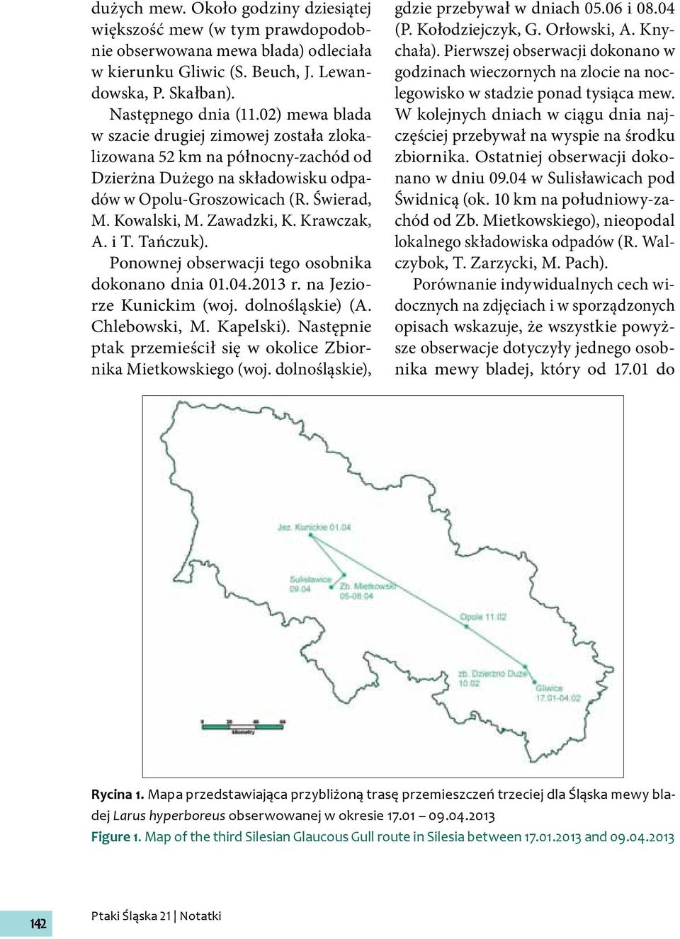 Krawczak, A. i T. Tańczuk). Ponownej obserwacji tego osobnika dokonano dnia 01.04.2013 r. na Jeziorze Kunickim (woj. dolnośląskie) (A. Chlebowski, M. Kapelski).