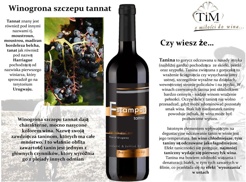 Winogrona szczepu tannat dają charakterne, mocno nasycone kolorem wina. Nazwę swoją zawdzięcza taninom, których ma całe mnóstwo.