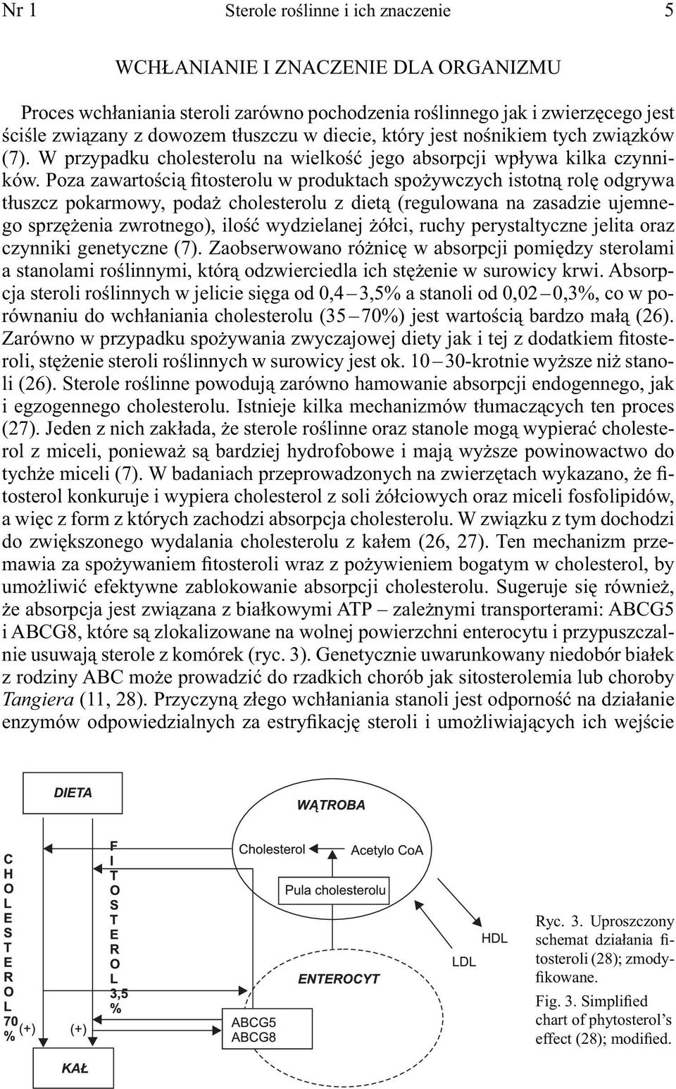 Poza zawartością fitosterolu w produktach spożywczych istotną rolę odgrywa tłuszcz pokarmowy, podaż cholesterolu z dietą (regulowana na zasadzie ujemnego sprzężenia zwrotnego), ilość wydzielanej