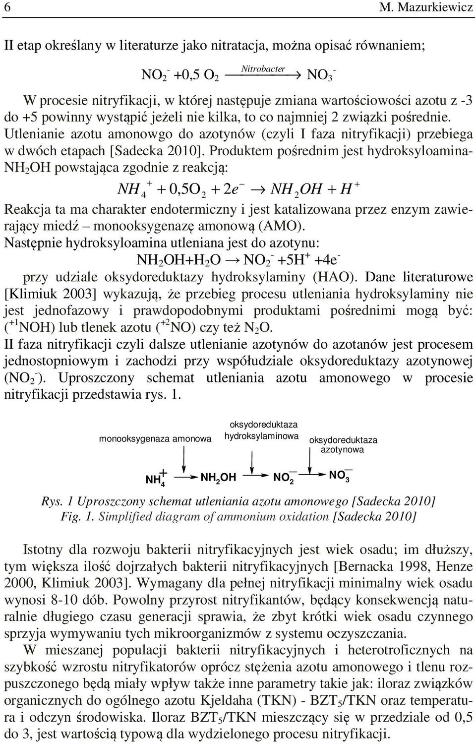 Produktem pośrednim jest hydroksyloamina- NH 2 OH powstająca zgodnie z reakcją: + + NH 4 + 0,5O 2 + 2e NH 2OH + H Reakcja ta ma charakter endotermiczny i jest katalizowana przez enzym zawierający