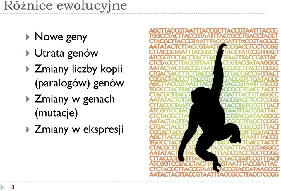 (paralogów) genów Zmiany w