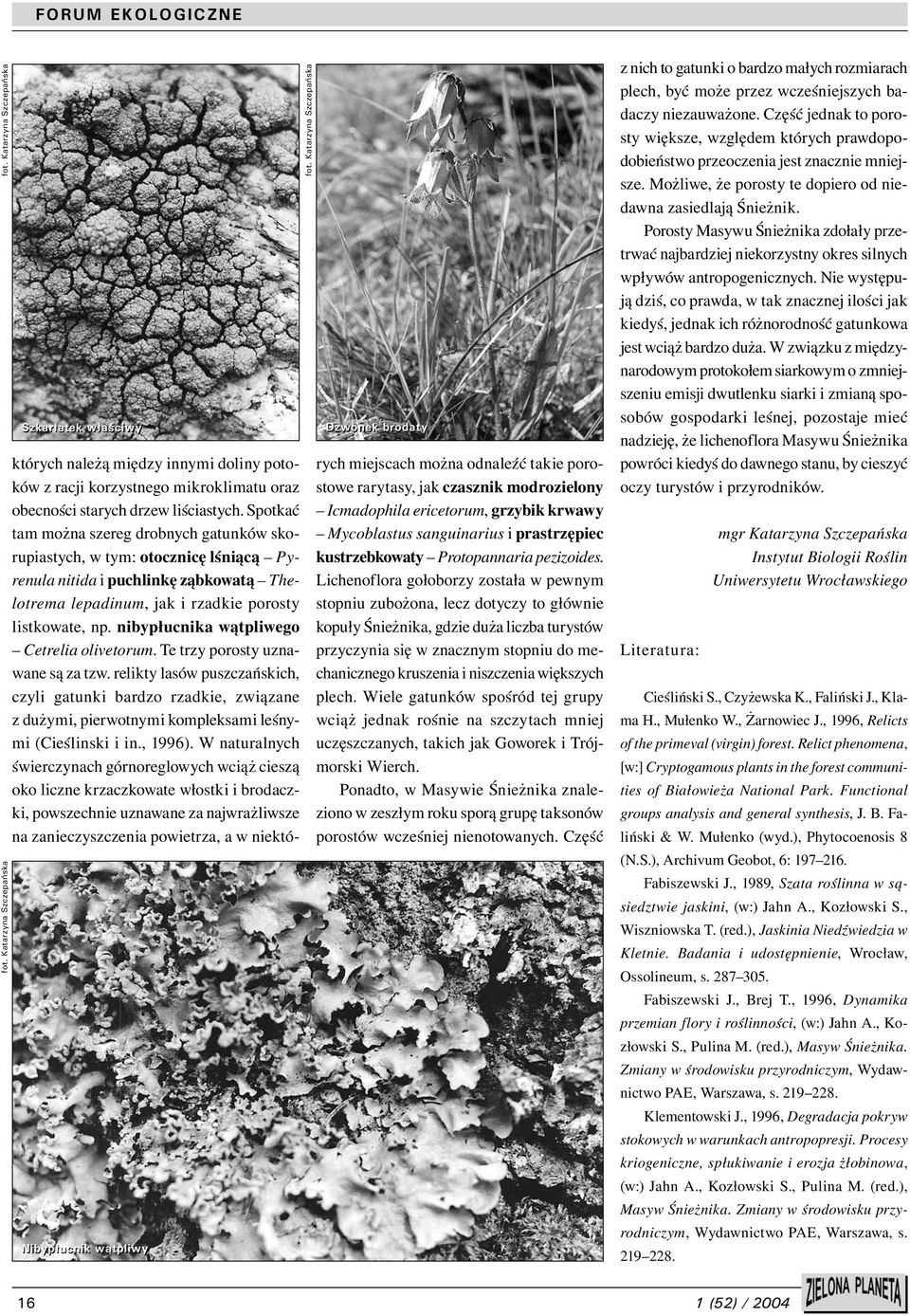 Spotkać tam można szereg drobnych gatunków skorupiastych, w tym: otocznicę lśniącą Pyrenula nitida i puchlinkę ząbkowatą Thelotrema lepadinum, jak i rzadkie porosty listkowate, np.