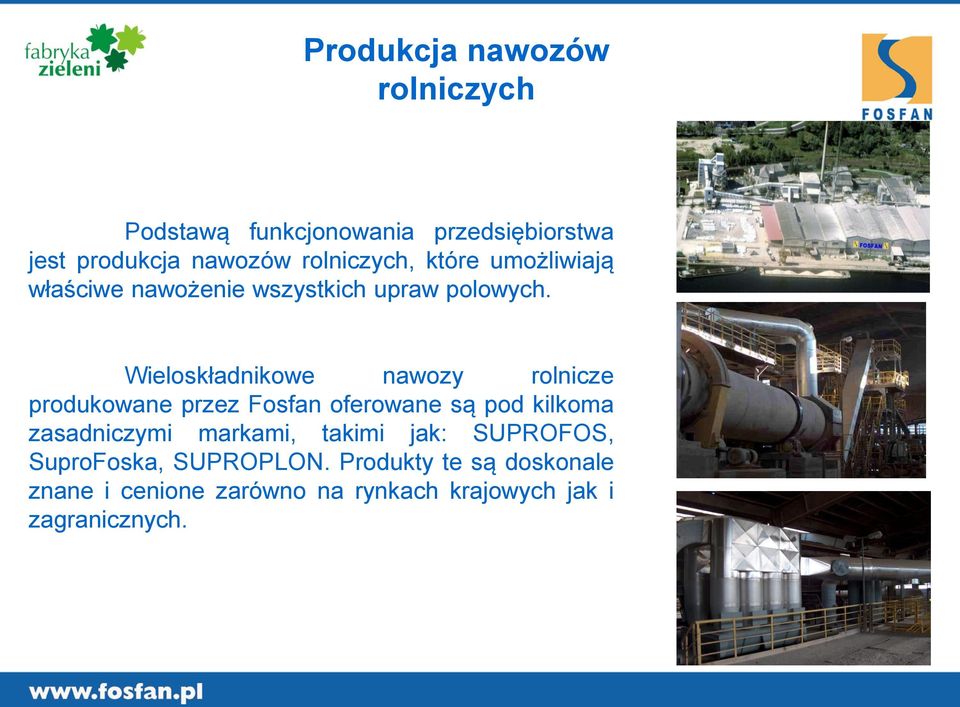 Wieloskładnikowe nawozy rolnicze produkowane przez Fosfan oferowane są pod kilkoma zasadniczymi