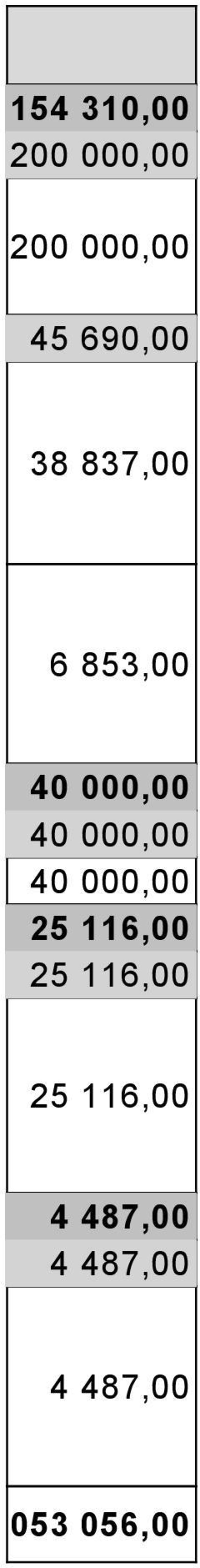 000,00 40 000,00 25 116,00 25 116,00 25