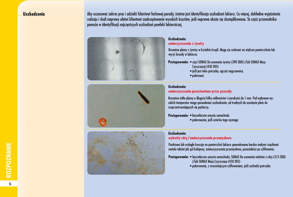 Ta część przewodnika pomoże w identyfikacji najczęstszych uszkodzeń powłoki lakierniczej. Uszkodzenie: zanieczyszczenia z żywicy Brunatne plamy z żywicy w kształcie kropli.