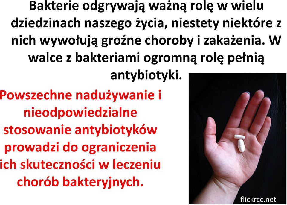 W walce z bakteriami ogromną rolę pełnią antybiotyki.