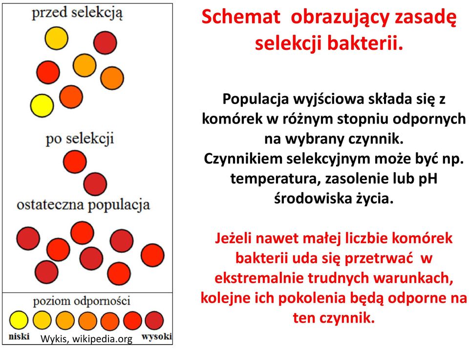 Czynnikiem selekcyjnym może być np. temperatura, zasolenie lub ph środowiska życia.