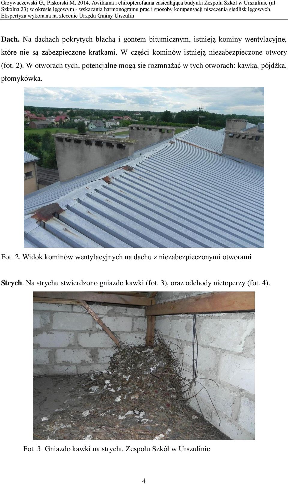 W otworach tych, potencjalne mogą się rozmnażać w tych otworach: kawka, pójdźka, płomykówka. Fot. 2.