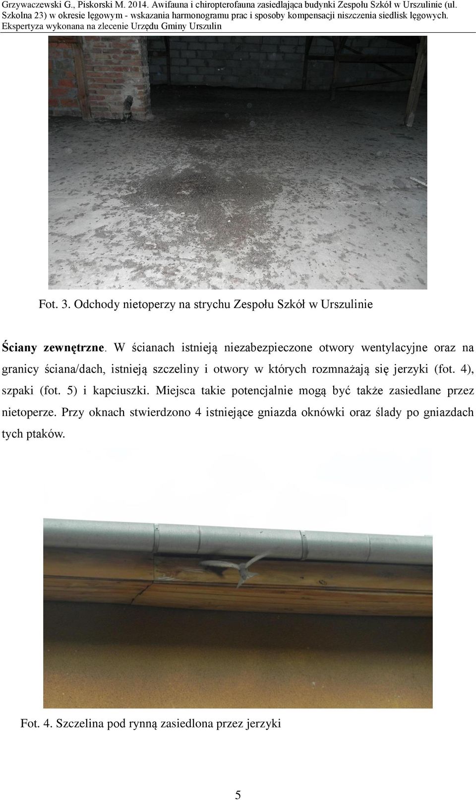 których rozmnażają się jerzyki (fot. 4), szpaki (fot. 5) i kapciuszki.