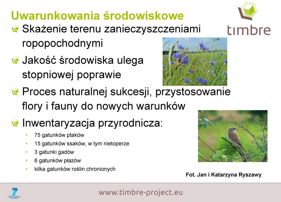 warunków Inwentaryzacja przyrodnicza: 75 gatunków ptaków 15 gatunków ssaków, w tym nietoperze 3