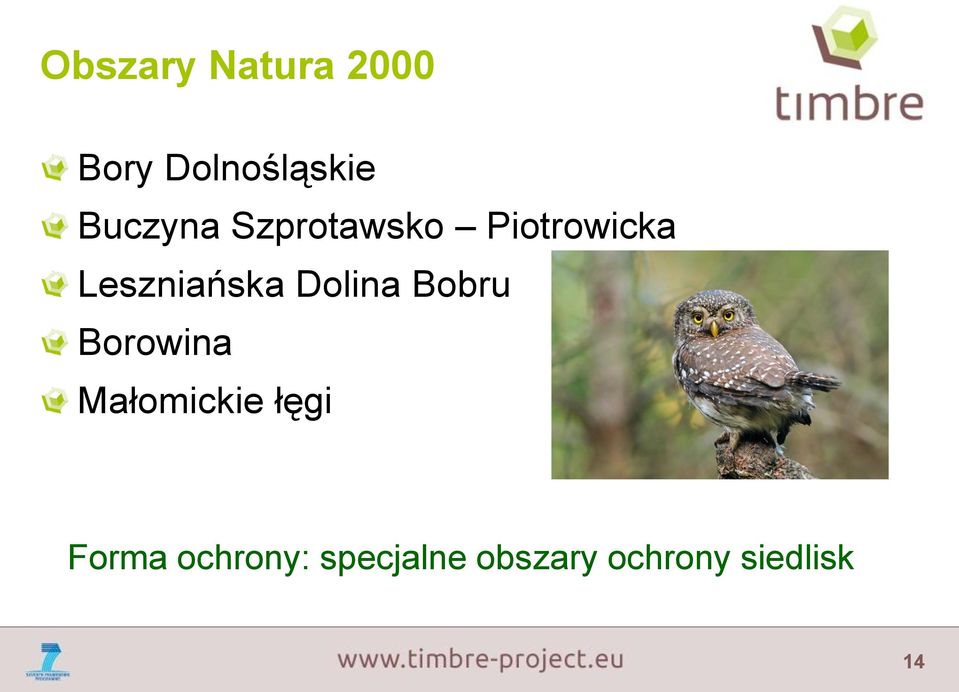 Leszniańska Dolina Bobru Borowina