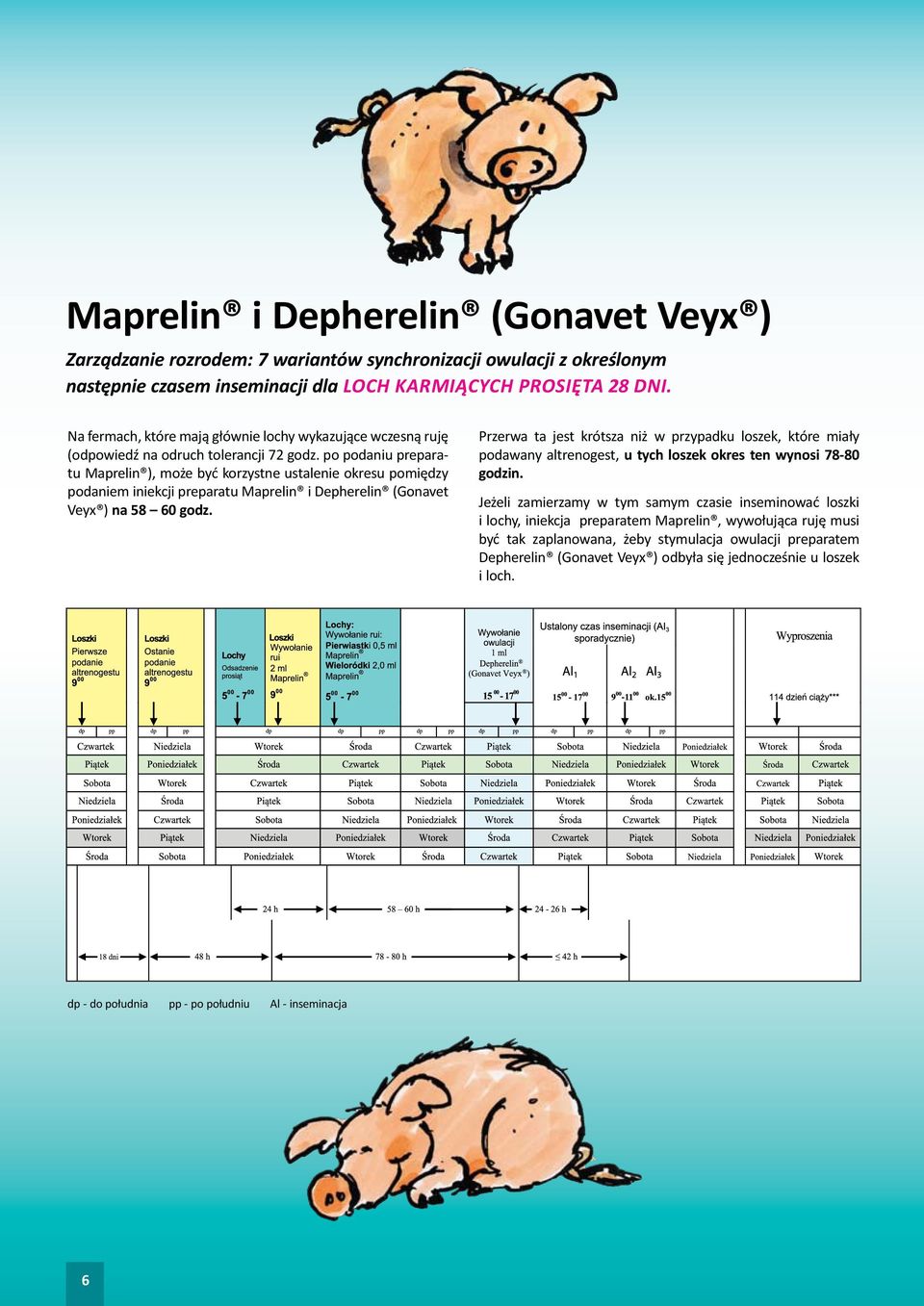 po podaniu preparatu Maprelin ), może być korzystne ustalenie okresu pomiędzy podaniem iniekcji preparatu Maprelin i Depherelin (Gonavet Veyx ) na 58 60 godz.