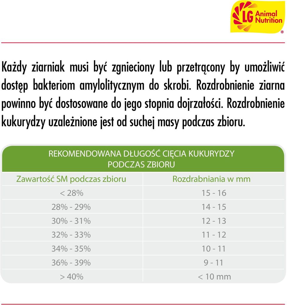 Rozdrobnienie kukurydzy uzależnione jest od suchej masy podczas zbioru.