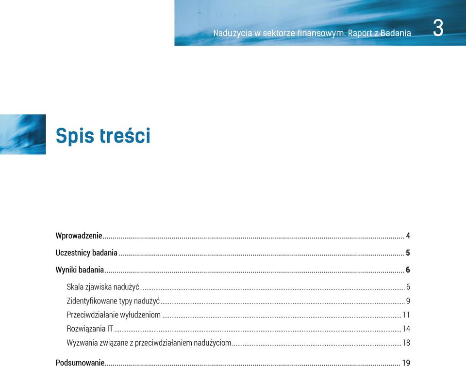 .. 9 Przeciwdziałanie wyłudzeniom... 11 Rozwiązania IT.