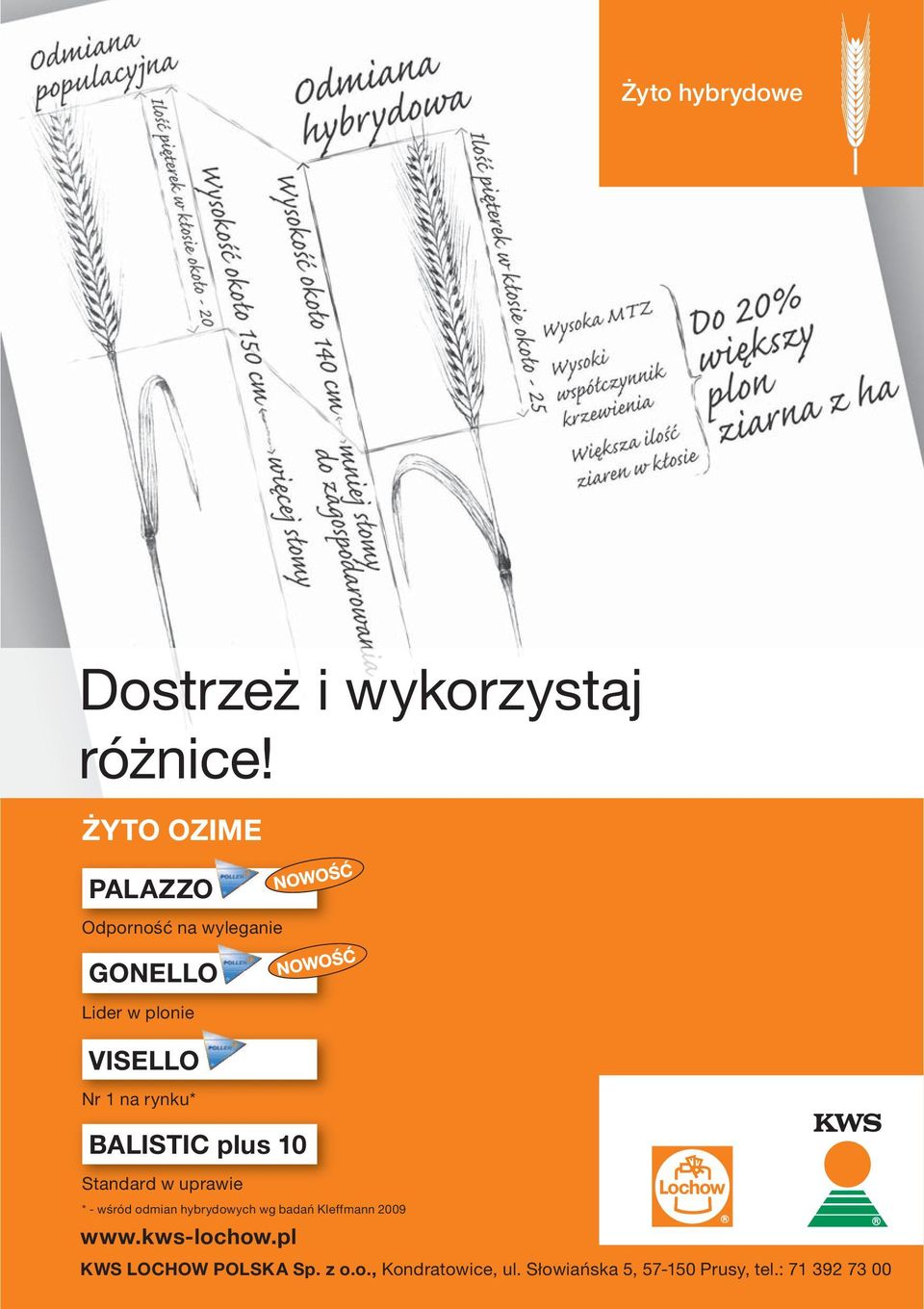 plus 10 Standard w uprawie * - wśród odmian hybrydowych wg badań Kleffmann 2009 www.kws-lochow.