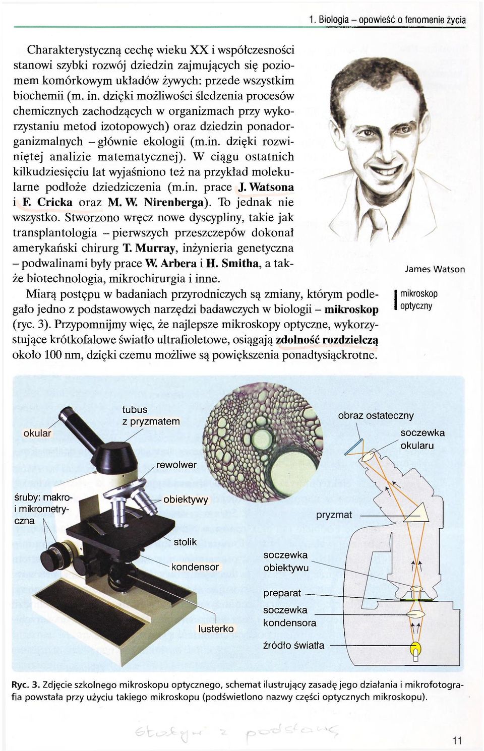 W ciągu ostatnich kilkudziesięciu lat wyjaśniono też na przykład molekularne podłoże dziedziczenia (m.in. prace J. Watsona i F. Cricka oraz M. W. Nirenberga). To jednak nie wszystko.